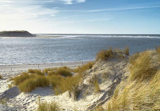 Landschappen
